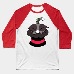 Magic Hat Cat Baseball T-Shirt